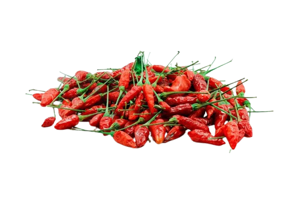 b0a07c7ffbcc411f0b1823af40c08216-removebg-preview